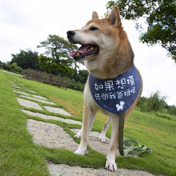 親密な警告涼しげな感じのスカーフの流行防止必須の両面デザインの赤ちゃんが使用できます 2枚目の画像