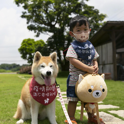 親密な警告涼しげな感じのスカーフの流行防止必須の両面デザインの赤ちゃんが使用できます 4枚目の画像