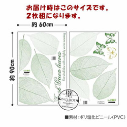 213 ウォールステッカー ２枚セット スケルトンリーフ リーフ レース すかし模様 透明感 葉脈 維管束 スケルトン 4枚目の画像