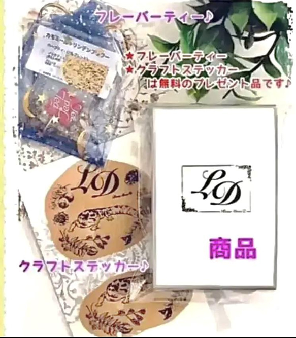 爬虫類【ニシアフリカトカゲモドキ】カラータッセル付♡キーホルダー　pink gold 豪華特典・プレゼント付♡ 6枚目の画像