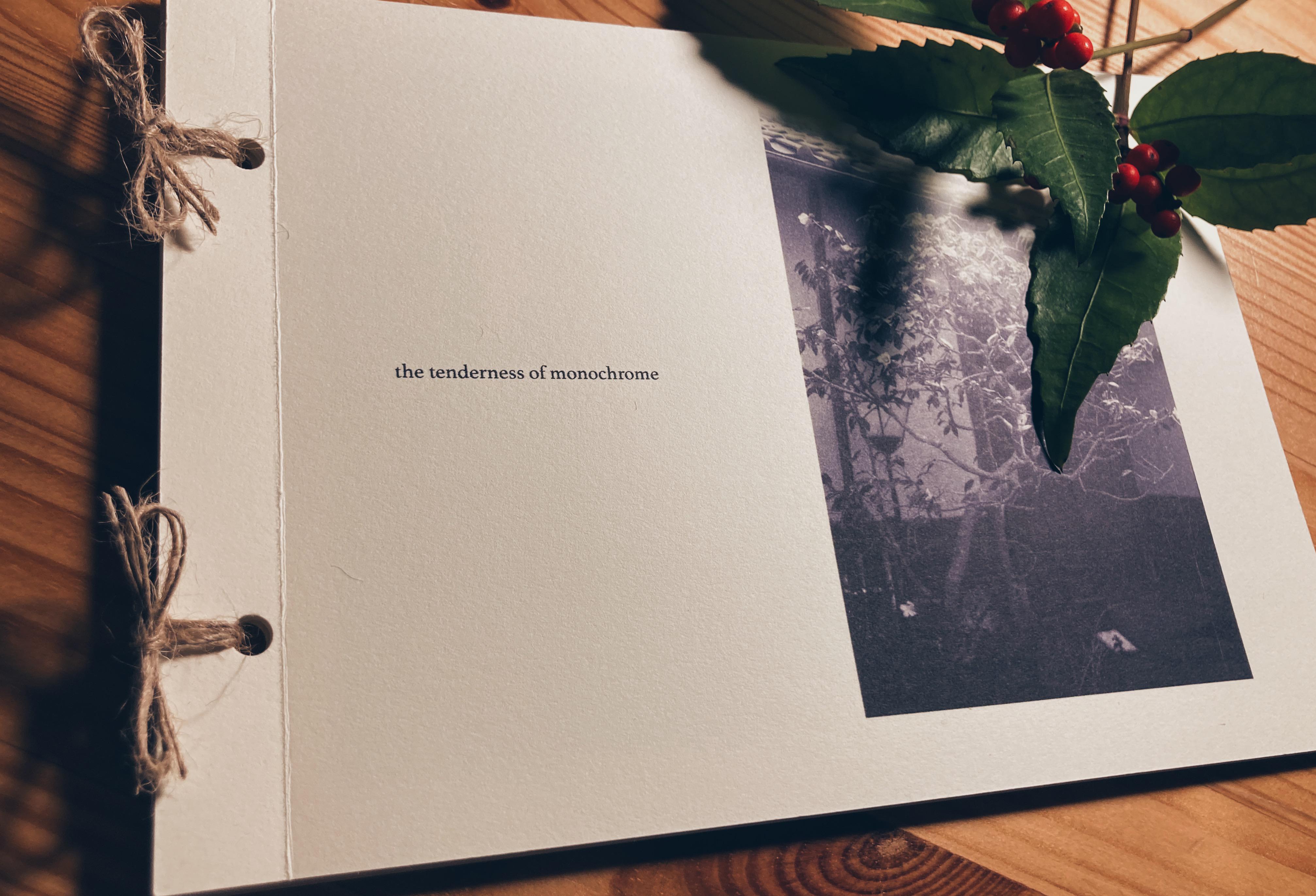 写真集(ZINE) the tenderness of monochrome ZINE・小冊子 Kina