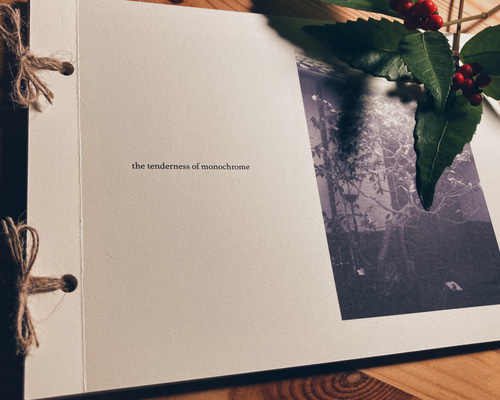 00fccdb084e010f3dc077e693bef98