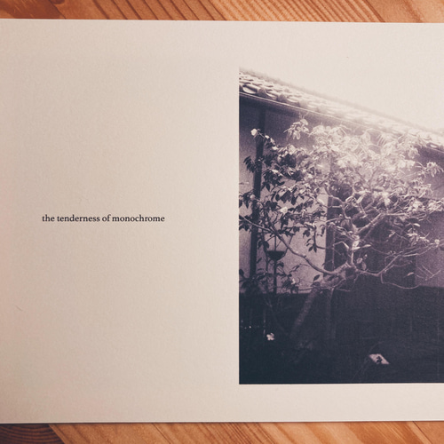写真集(ZINE) the tenderness of monochrome ZINE・小冊子 Kina