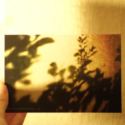 Postcards “light” 2枚目の画像