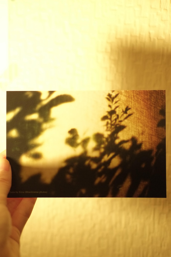 Postcards “light” 2枚目の画像