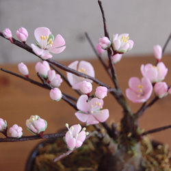 ◆粘土のお花◆　枯れない梅の木♪　梅盆栽　U636 8枚目の画像