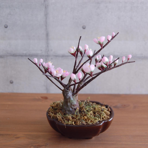 ◇粘土のお花◇ 枯れない梅の木♪ 梅盆栽 U636 アートフラワー Old