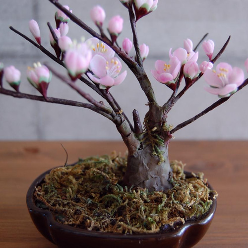 ◇粘土のお花◇ 枯れない梅の木♪ 梅盆栽 U636 アートフラワー Old