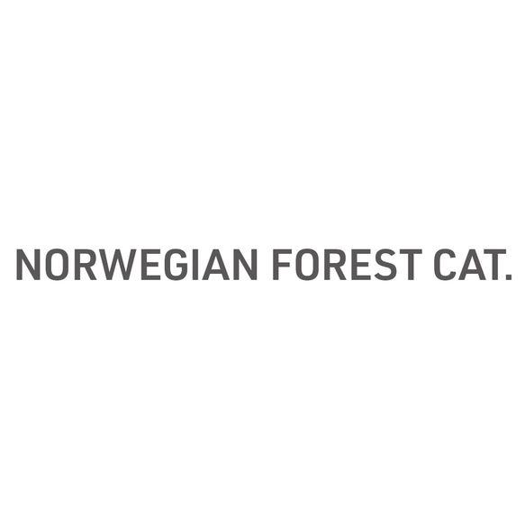 ノルウェージャンフォレストキャット [ Norwegian Forest Cat ]｜猫の品種ロゴパーカー 2枚目の画像