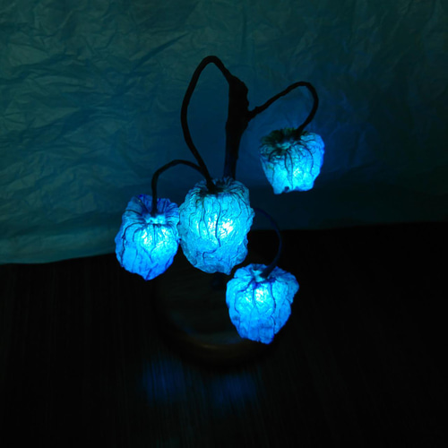 魔法植物「星屑のほおずき」ランプ スタンドライト・テーブルランプ