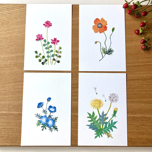 春画】秘蔵浮世絵名作選 春画】秘蔵浮世絵最高傑作選 浮世絵 葛飾北斎