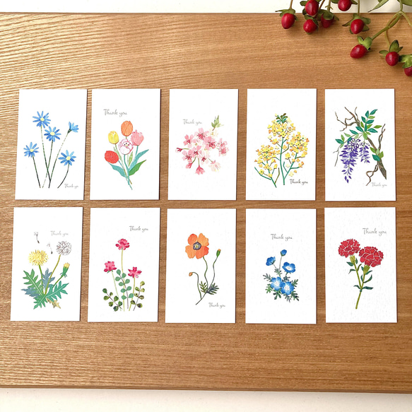 サンキューカード手書き　花＊花ページ 春の花ミニサンキューカードセット メッセージカード tomocollage 通販