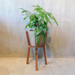 プランタースタンドS　送料無料　ＰＬＡＮＴＥＲ　ＳＴＡＮＤ　Ｓ　北欧　ナチュラル 1枚目の画像