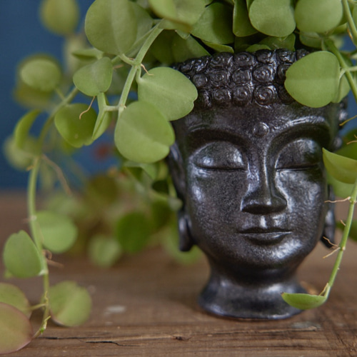 受注制作品＊制作品仏頭 プランツポット bh-2 植木鉢 一輪挿し