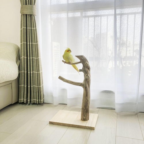 流木止まり木】高さ約95cm！鳥 インコ 高さのあるスマートな