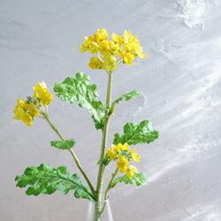 （水換え不要）リアルな菜の花の花瓶挿し　春の訪れ〜 2枚目の画像