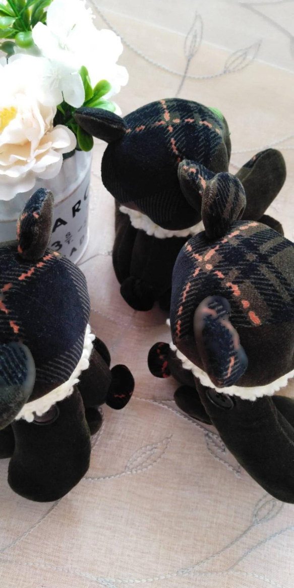 Walk in the forest 9枚目の画像