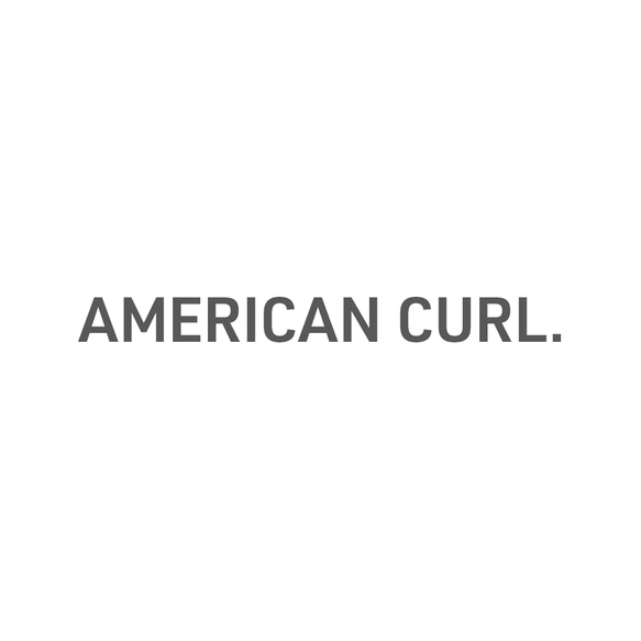 アメリカンカール [ American curl ]｜猫の品種ロゴパーカー 2枚目の画像