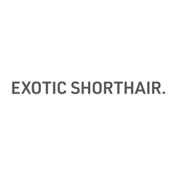 エキゾチックショートヘアー [ Exotic Shorthair ]｜猫の品種エコバッグ 2枚目の画像