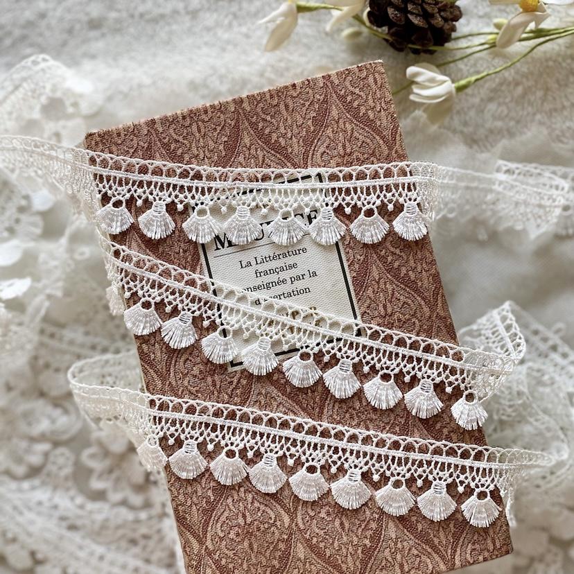 1m 綺麗 フリンジタイプ ケミカルレース ブレード 白 BK220102  