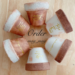 ★カラフルアソート➋★リメイク鉢1size 6個SETリメ鉢多肉サボテンちまちま ❤︎多肉植物カット苗❤︎Box詰め合わせアソート 花苗サボテンちまちま