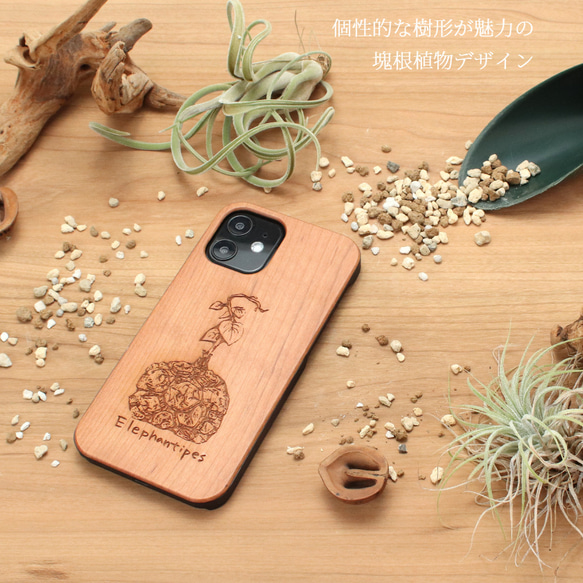 木製 iphoneケース おしゃれ 塊根植物シリーズ 亀甲竜 15 14 13 かっこいい 12 mini se 11 2枚目の画像