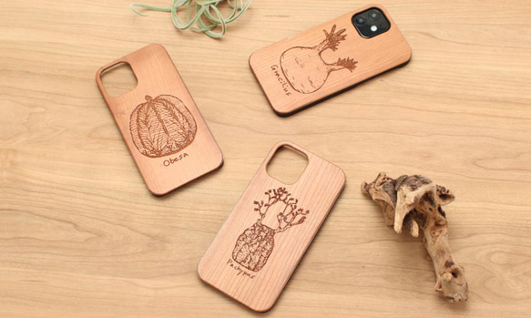 木製 iphone ケース おしゃれ 塊根植物シリーズ グラキリス 15 14 13 かっこいい 12 mini se 4枚目の画像