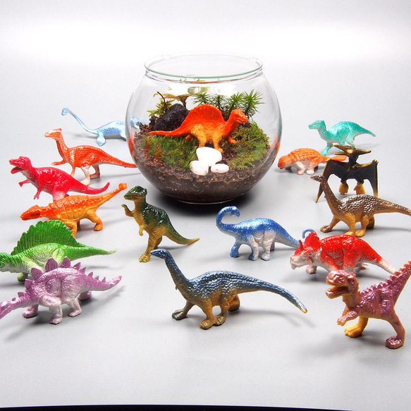 恐竜【苔テラリウム・手作りキット一式】金魚鉢　子供の日 3枚目の画像