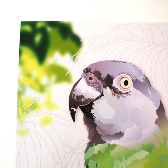 パネル作品【小】「Senegal Parrot」（A5・B5サイズ） 5枚目の画像