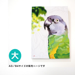 パネル作品【大】「Snegal Parrot」（B4・A3サイズ） 1枚目の画像