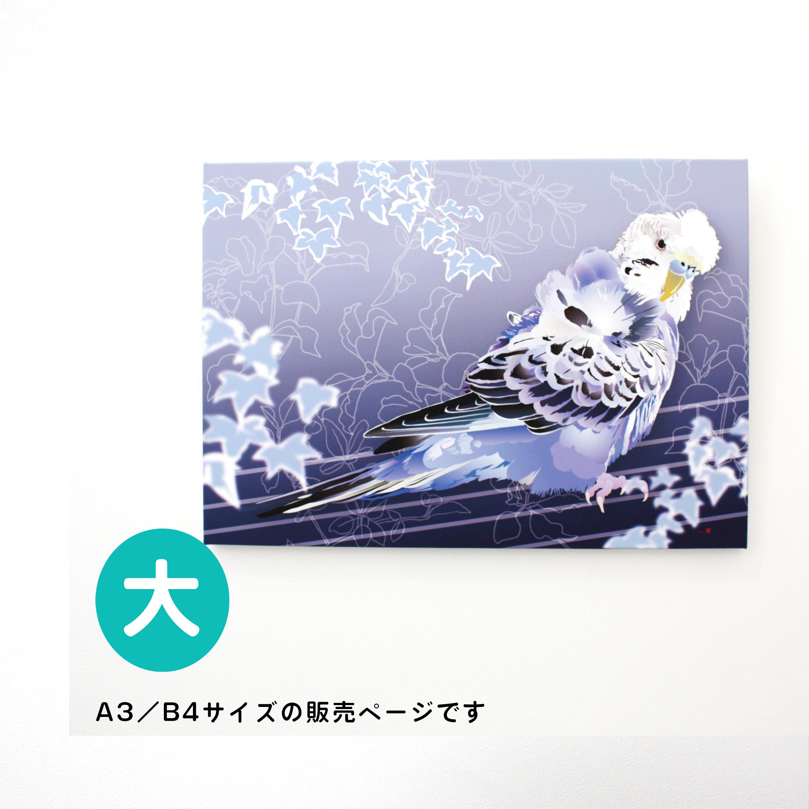 セキセイインコ　a⑥ ミニセキセイインコ ブルー｜WooBia公式オンラインショップ