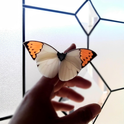 ツマベニチョウ【自然形】 立体・オブジェ 優月館 通販 13287115