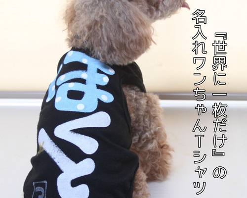 犬服・アクセサリー plnmylove 公式通販限定】ベーシックヘッドインハーネス S/M/L Solgra-ソルグラ