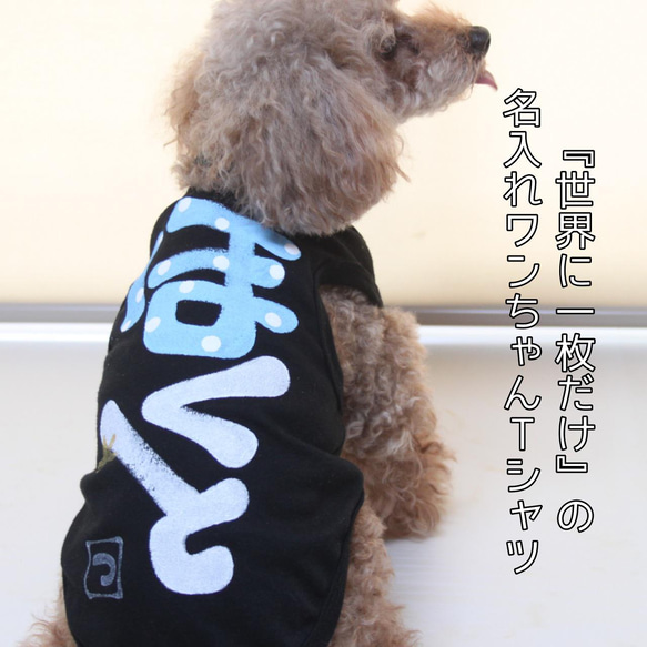 名前入り犬服/ワンちゃんの名前Tシャツ 1枚目の画像