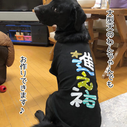 名前入り犬服/ワンちゃんの名前Tシャツ 5枚目の画像