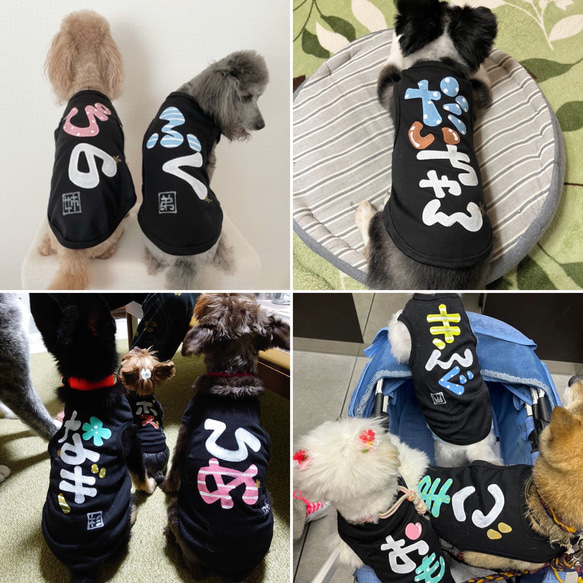 名前入り犬服/ワンちゃんの名前Tシャツ 4枚目の画像