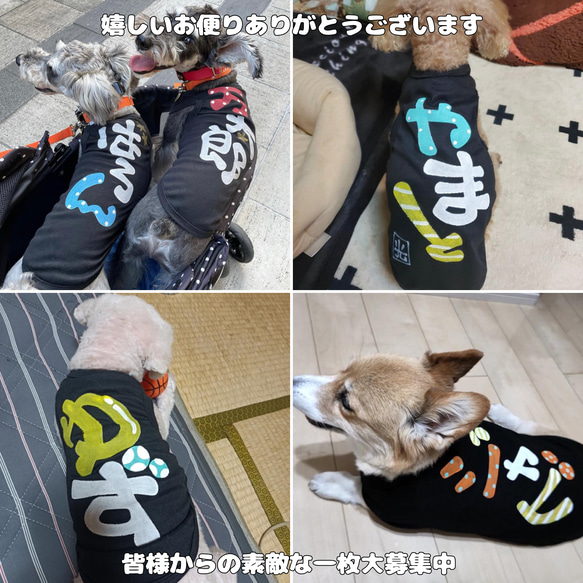 名前入り犬服/ワンちゃんの名前Tシャツ 3枚目の画像