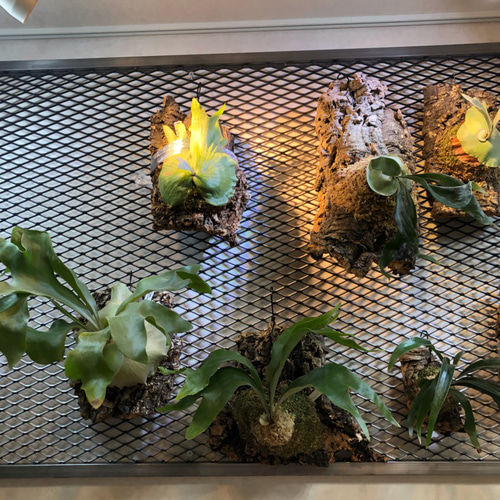 LL-size 1800×900]エキスパンドメタル ディスプレイフレーム 棚