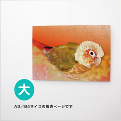 パネル作品【大】「ウロコインコ HARU」（B4・A3サイズ） 1枚目の画像