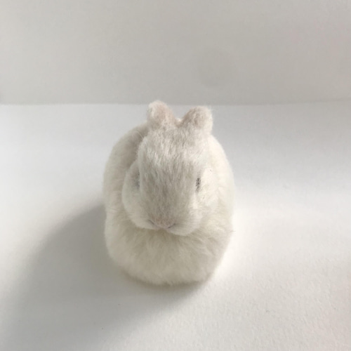 もふっとまるっとうさぎさん〜 うさぎ 羊毛フェルト ネザーランド