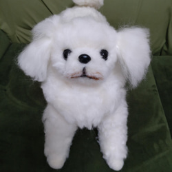 羊毛フェルト犬 チワワ スムースコート ブラックタン 羊毛フェルト か