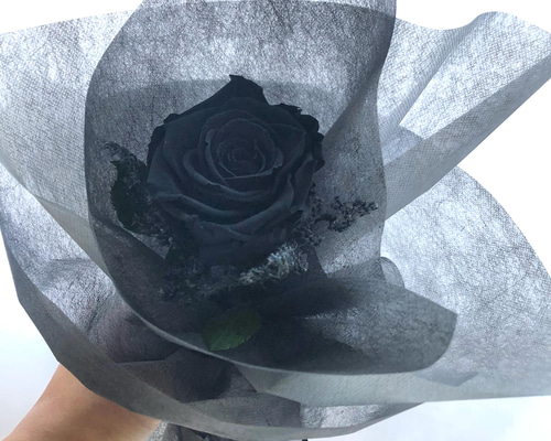 caf5af95e73851b5b8a6c261bbc45e