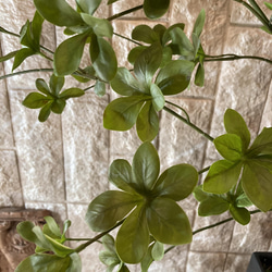 光触媒　人工観葉植物　ウォールグリーン　フェイク　アレンジ　ドウダンスピンドル 4枚目の画像
