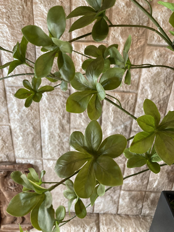 光触媒　人工観葉植物　ウォールグリーン　フェイク　アレンジ　ドウダンスピンドル 4枚目の画像