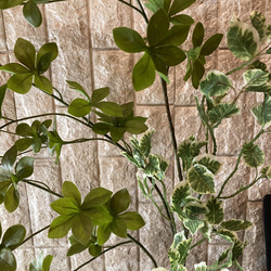光触媒　人工観葉植物　ウォールグリーン　フェイク　アレンジ　ドウダンスピンドル 3枚目の画像
