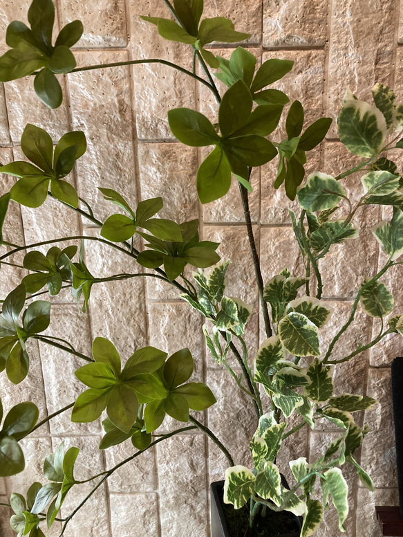 光触媒　人工観葉植物　ウォールグリーン　フェイク　アレンジ　ドウダンスピンドル 3枚目の画像