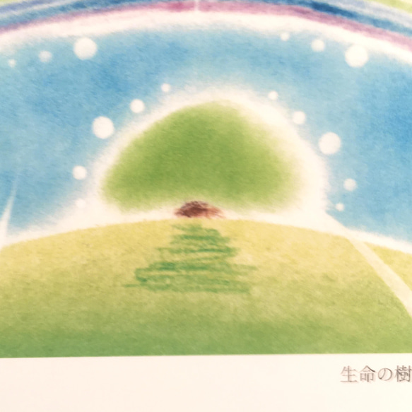 【ポストカード】生命の樹　★選べる3枚《メッセージ付》パステルアート　木　樹　虹　さわやか 6枚目の画像