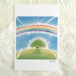 【ポストカード】生命の樹　★選べる3枚《メッセージ付》パステルアート　木　樹　虹　さわやか 2枚目の画像