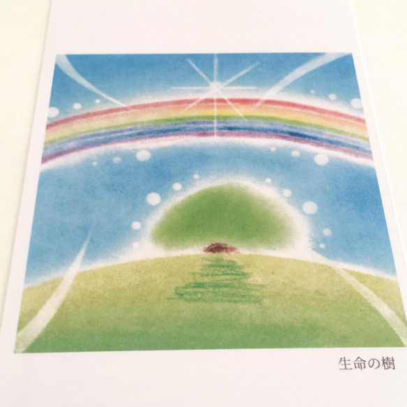 【ポストカード】生命の樹　★選べる3枚《メッセージ付》パステルアート　木　樹　虹　さわやか 5枚目の画像