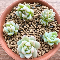 e3c9bc76ef907781cfab4798cccb10